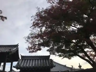 雲住寺のその他建物
