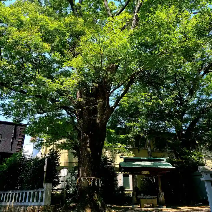 濱名惣社神明宮(静岡県)