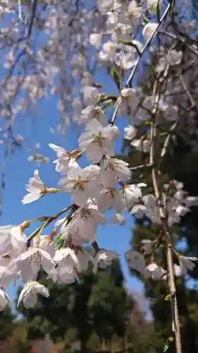 下野國一社八幡宮(栃木県)