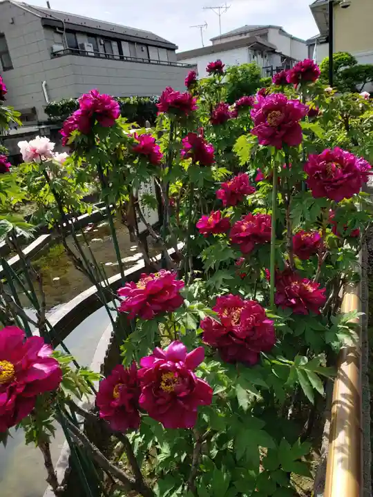 禅定院(東京都)