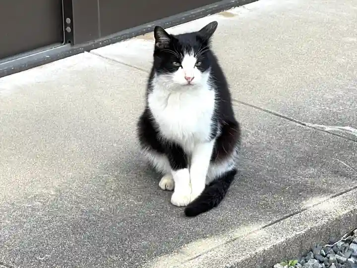 弁天様と山の神(三重県)