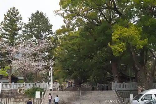 大麻比古神社(徳島県)