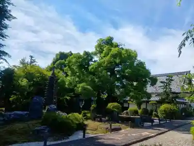 崇福寺(岐阜県)