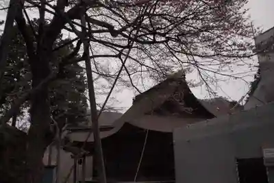 雲峰寺の本殿・本堂