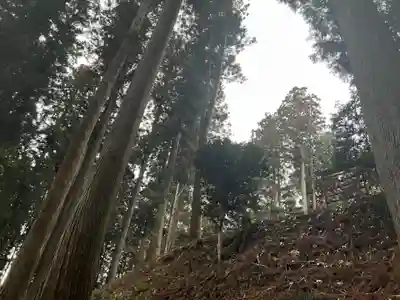 大宮温泉神社(栃木県)