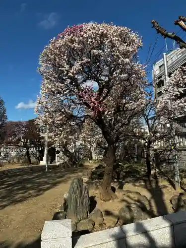 北野神社の{uncategorized: "未分類", other: "その他", undefined: "問題あり", building: "その他建物", grave: "お墓", sacred_gate: "鳥居", guardian: "狛犬", statue: "像", buddha: "仏像", history: "歴史", nature: "自然", garden: "庭園", animal: "動物", pagoda: "塔", temizu: "手水舎", mountain_gate: "山門・神門", sanctuary: "本殿・本堂", subordinate: "末社・摂社", art: "芸術", scenery: "景色", jizo: "地蔵", ema: "絵馬", goshuin: "御朱印", omikuji: "おみくじ", items: "授与品その他", amulet: "お守り", goshuincho: "御朱印帳", eats: "食事", festival: "お祭り", votive_dance: "神楽", shichigosan: "七五三参", wedding: "結婚式", experience: "体験その他", initially: "初詣", around: "周辺", anti_infection: "感染症対策"}