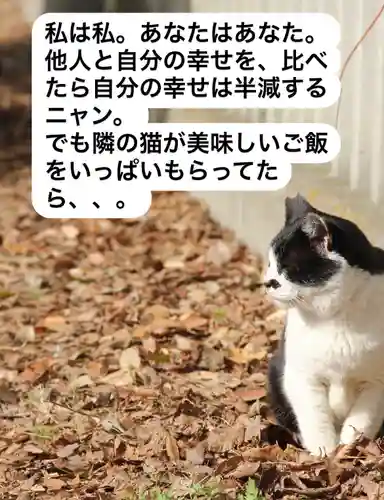 専念寺(大阪府)