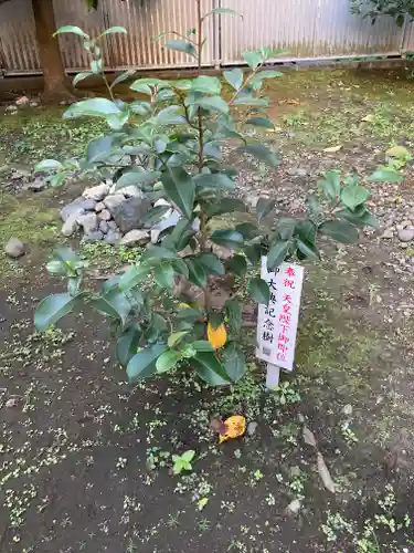 羽衣町厳島神社（関内厳島神社・横浜弁天）の庭園