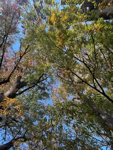 前川神社(埼玉県)