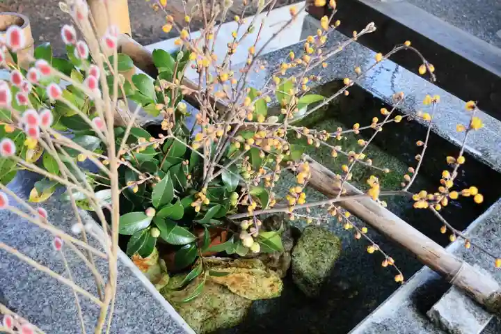 高司神社〜むすびの神の鎮まる社〜の手水舎