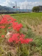 穴太寺(京都府)