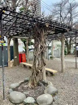 七倉稲荷神社の{uncategorized: "未分類", other: "その他", undefined: "問題あり", building: "その他建物", grave: "お墓", sacred_gate: "鳥居", guardian: "狛犬", statue: "像", buddha: "仏像", history: "歴史", nature: "自然", garden: "庭園", animal: "動物", pagoda: "塔", temizu: "手水舎", mountain_gate: "山門・神門", sanctuary: "本殿・本堂", subordinate: "末社・摂社", art: "芸術", scenery: "景色", jizo: "地蔵", ema: "絵馬", goshuin: "御朱印", omikuji: "おみくじ", items: "授与品その他", amulet: "お守り", goshuincho: "御朱印帳", eats: "食事", festival: "お祭り", votive_dance: "神楽", shichigosan: "七五三参", wedding: "結婚式", experience: "体験その他", initially: "初詣", around: "周辺", anti_infection: "感染症対策"}