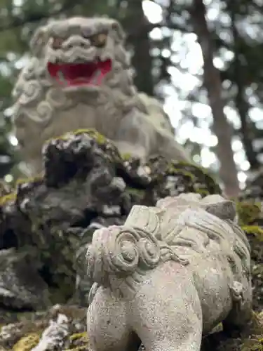 富士山東口本宮 冨士浅間神社の狛犬