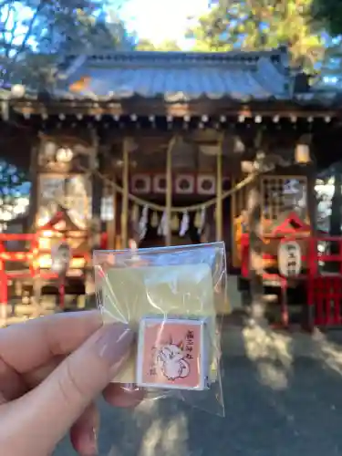 開運招福 飯玉神社(群馬県)