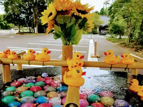 乃木神社の手水舎