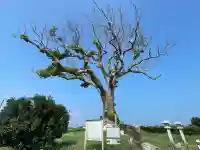 大木神社跡地(三重県)