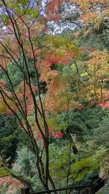 善峯寺(京都府)