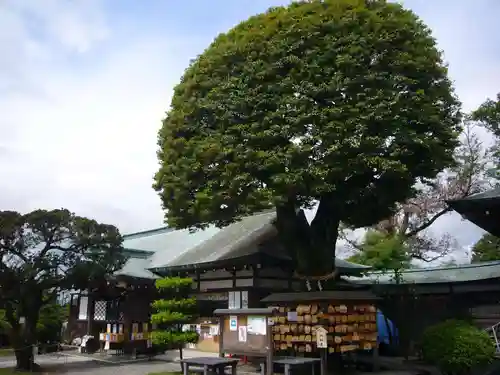 足利織姫神社の建物その他