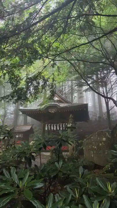 三峯神社(埼玉県)