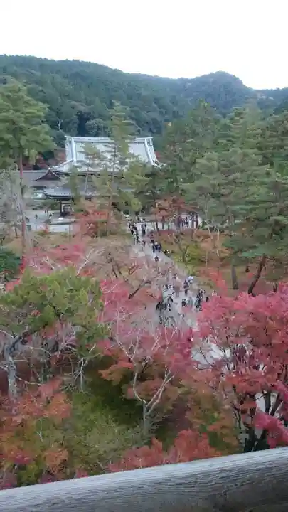 南禅寺のその他建物