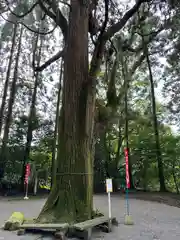 東霧島神社(宮崎県)