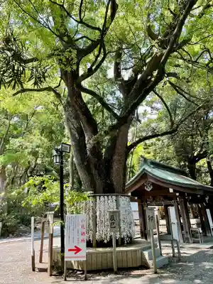 平塚八幡宮(神奈川県)