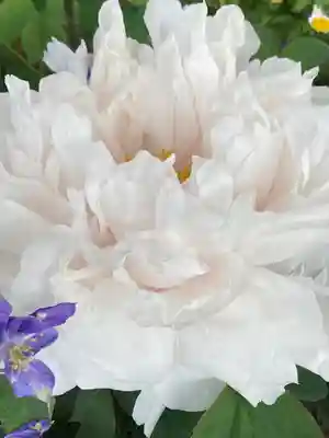 薬師院(兵庫県)