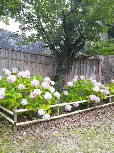 阿智神社の庭園