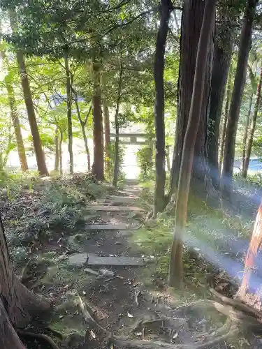 龍爪神社の{uncategorized: "未分類", other: "その他", undefined: "問題あり", building: "その他建物", grave: "お墓", sacred_gate: "鳥居", guardian: "狛犬", statue: "像", buddha: "仏像", history: "歴史", nature: "自然", garden: "庭園", animal: "動物", pagoda: "塔", temizu: "手水舎", mountain_gate: "山門・神門", sanctuary: "本殿・本堂", subordinate: "末社・摂社", art: "芸術", scenery: "景色", jizo: "地蔵", ema: "絵馬", goshuin: "御朱印", omikuji: "おみくじ", items: "授与品その他", amulet: "お守り", goshuincho: "御朱印帳", eats: "食事", festival: "お祭り", votive_dance: "神楽", shichigosan: "七五三参", wedding: "結婚式", experience: "体験その他", initially: "初詣", around: "周辺", anti_infection: "感染症対策"}