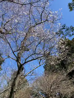 浄智寺(神奈川県)