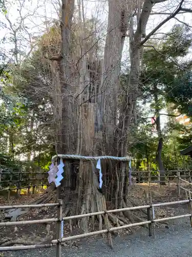 大國魂神社の自然