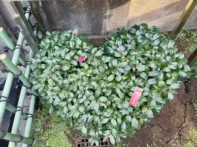 烏森神社(東京都)