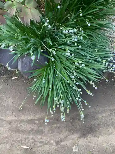 慶珊寺(神奈川県)