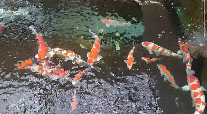 感通寺(東京都)