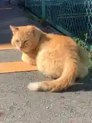 一畑山薬師寺 名古屋別院の動物