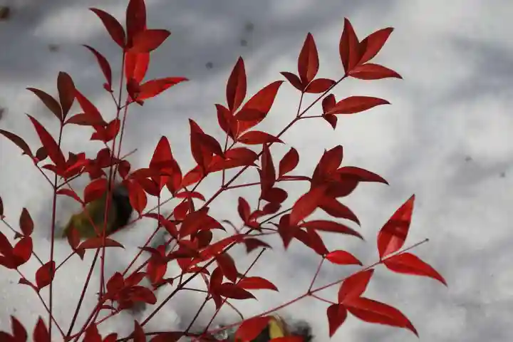 豊景神社の自然