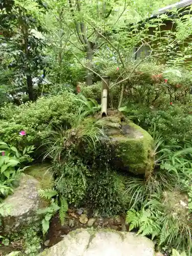 三千院門跡の庭園