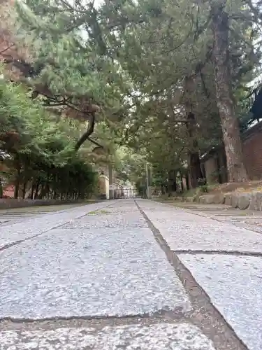 建仁寺（建仁禅寺）(京都府)