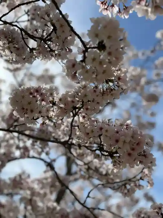 伊川谷惣社(兵庫県)