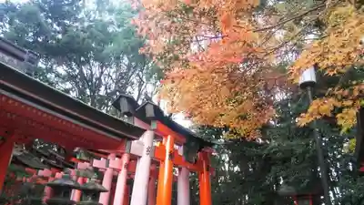 伏見稲荷大社のその他建物