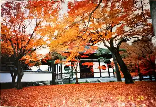 東福禅寺（東福寺）の建物その他