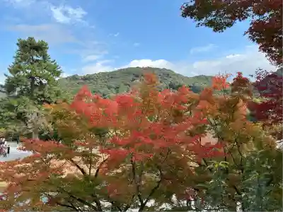 平等院(京都府)