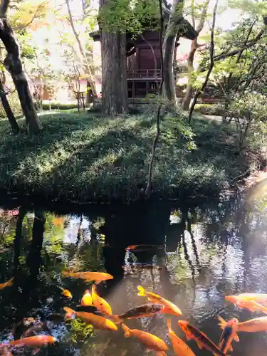 平林寺の庭園