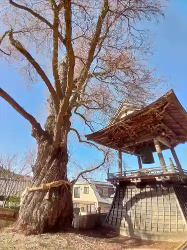 北向観音の自然