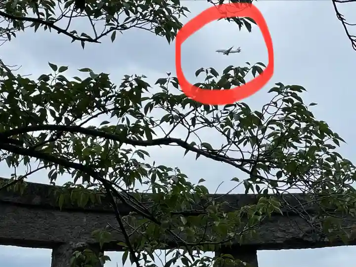 名島神社(福岡県)