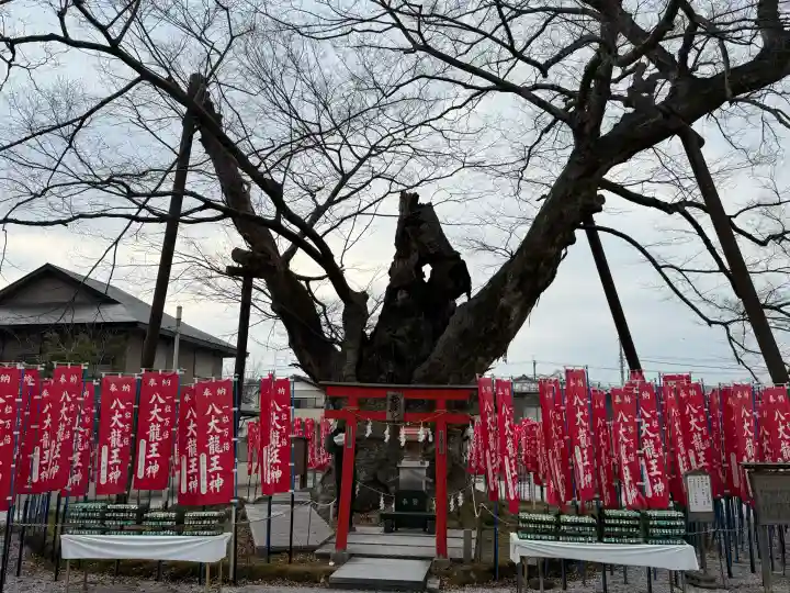 秩父今宮神社の{uncategorized: "未分類", other: "その他", undefined: "問題あり", building: "その他建物", grave: "お墓", sacred_gate: "鳥居", guardian: "狛犬", statue: "像", buddha: "仏像", history: "歴史", nature: "自然", garden: "庭園", animal: "動物", pagoda: "塔", temizu: "手水舎", mountain_gate: "山門・神門", sanctuary: "本殿・本堂", subordinate: "末社・摂社", art: "芸術", scenery: "景色", jizo: "地蔵", ema: "絵馬", goshuin: "御朱印", omikuji: "おみくじ", items: "授与品その他", amulet: "お守り", goshuincho: "御朱印帳", eats: "食事", festival: "お祭り", votive_dance: "神楽", shichigosan: "七五三参", wedding: "結婚式", experience: "体験その他", initially: "初詣", around: "周辺", anti_infection: "感染症対策"}