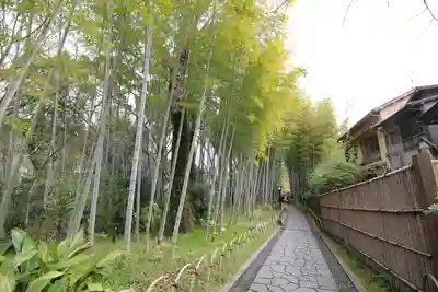 指月殿(静岡県)