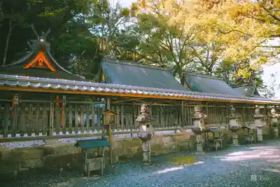 闘鶏神社(和歌山県)