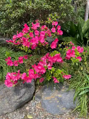 極楽寺（霊鷲山感應院極楽律寺）の自然