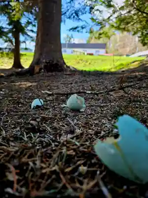 美幌神社(北海道)